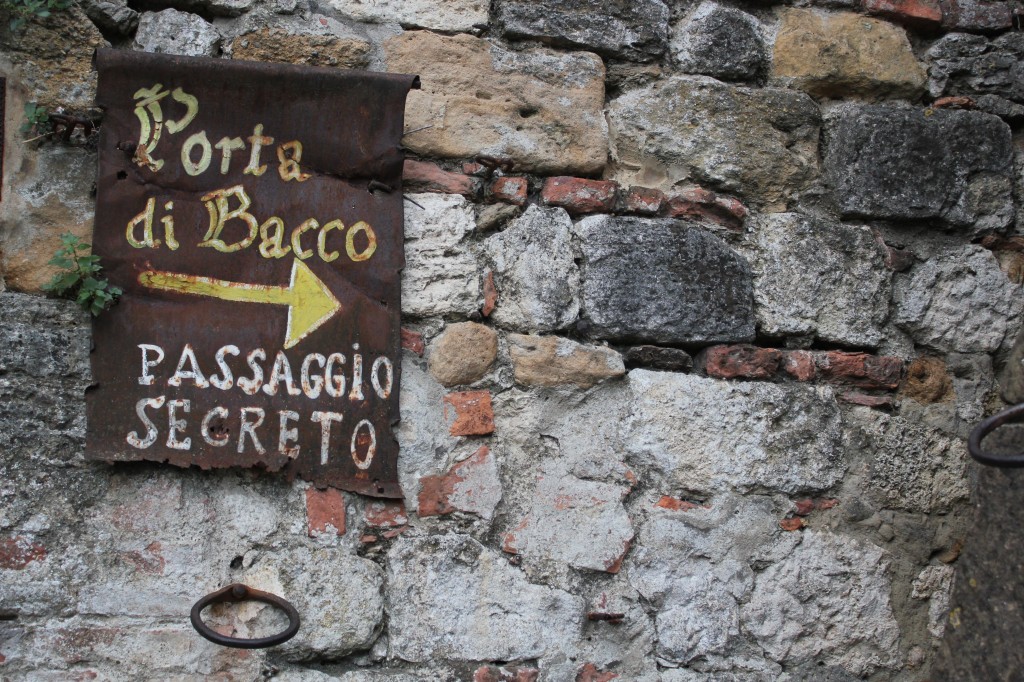 IMG_9961